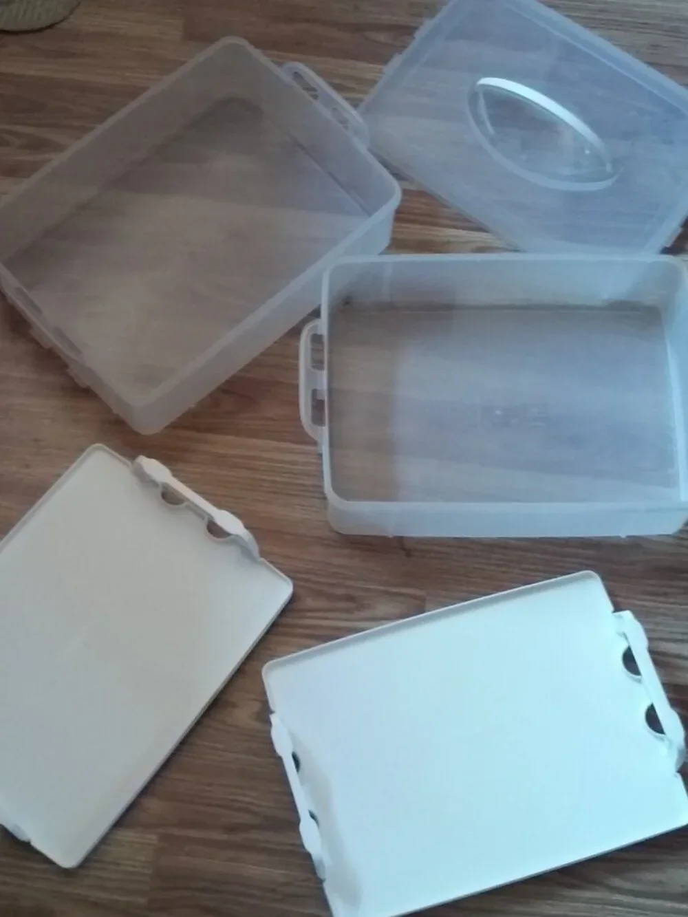 Snapware Reversible Trays Food Or Eggs Carrier
